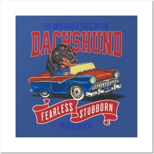 Humor Funny and Cute Doxie Dachshund dog driving a vintage classic car with red white and blue flags Posters and Art